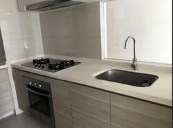Austville Residences (D19), Condominium #538905631